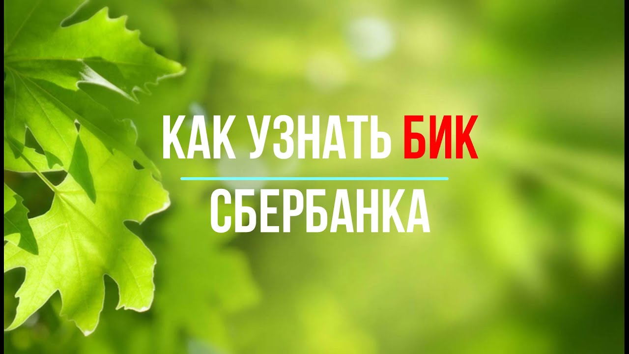 Как узнать БИК банка в Сбербанке